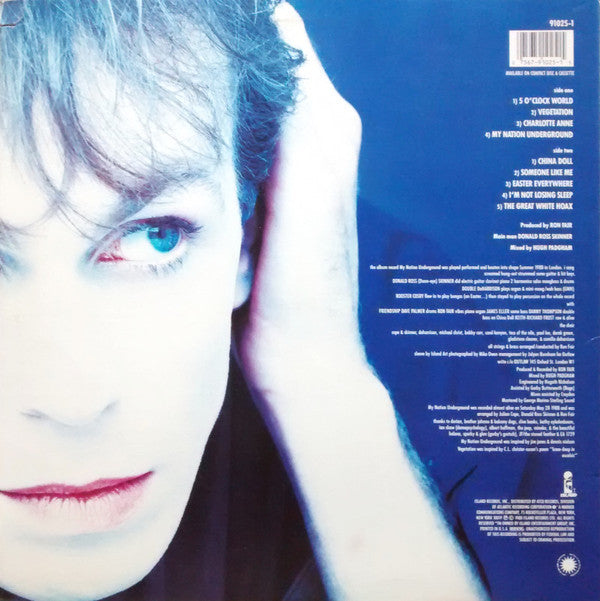 Julian Cope : My Nation Underground (LP, Album)