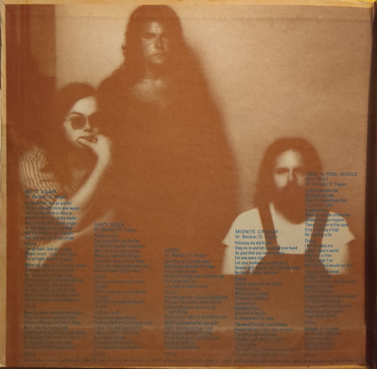 Steely Dan : Can't Buy A Thrill (LP, Album, RP, Pit)