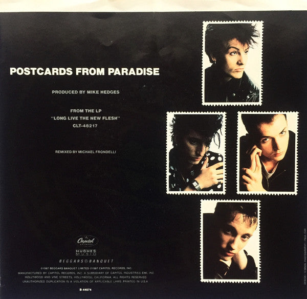 Flesh For Lulu : Postcards From Paradise (7")