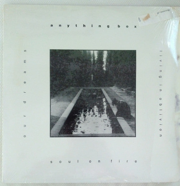 Anything Box : Soul On Fire (12")