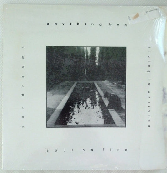 Anything Box : Soul On Fire (12")