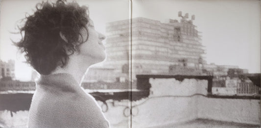 Ani DiFranco : Knuckle Down (2xLP, Album, Gat)