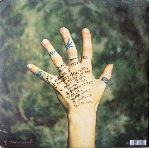 Ani DiFranco : Knuckle Down (2xLP, Album, Gat)