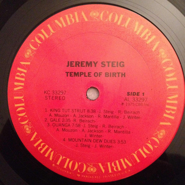 Jeremy Steig : Temple Of Birth (LP, Album)