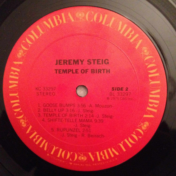 Jeremy Steig : Temple Of Birth (LP, Album)