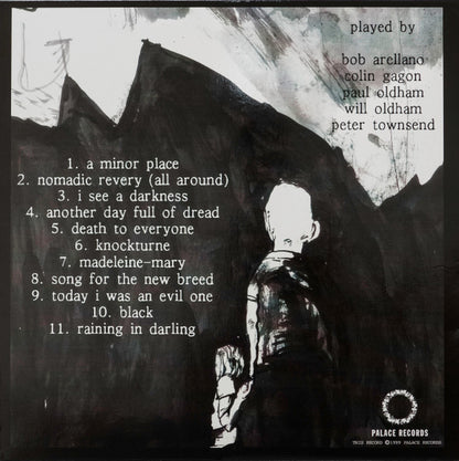 Bonnie 'Prince' Billy* : I See A Darkness (LP, Album)