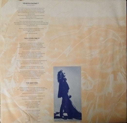 Robert Plant : Now And Zen (LP, Album, Club, Car)