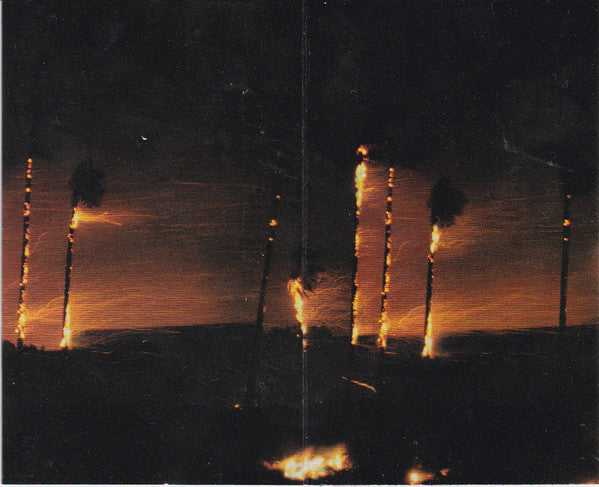 Hole (2) : Celebrity Skin (Cass, Album)