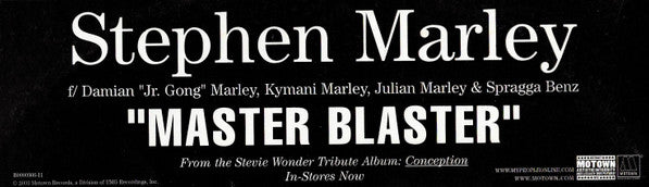 Stephen Marley : Master Blaster (12")