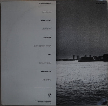 Bryan Adams : Into The Fire (LP, Album, Club, CRC)