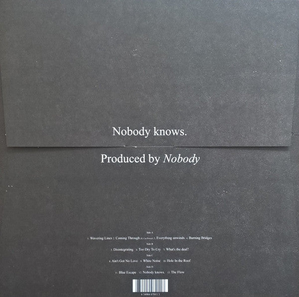 Willis Earl Beal : Nobody Knows (2xLP)