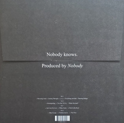 Willis Earl Beal : Nobody Knows (2xLP)