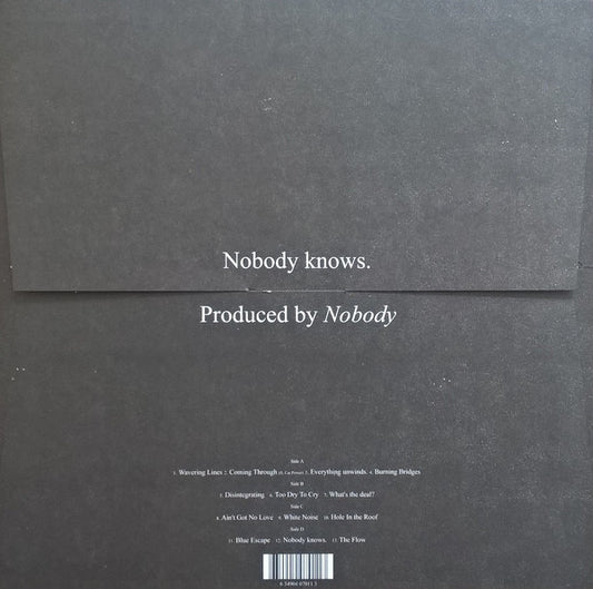 Willis Earl Beal : Nobody Knows (2xLP)