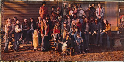 The Allman Brothers Band : Brothers And Sisters (LP, Album, M/Print, Pit)