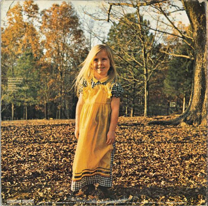 The Allman Brothers Band : Brothers And Sisters (LP, Album, M/Print, Pit)