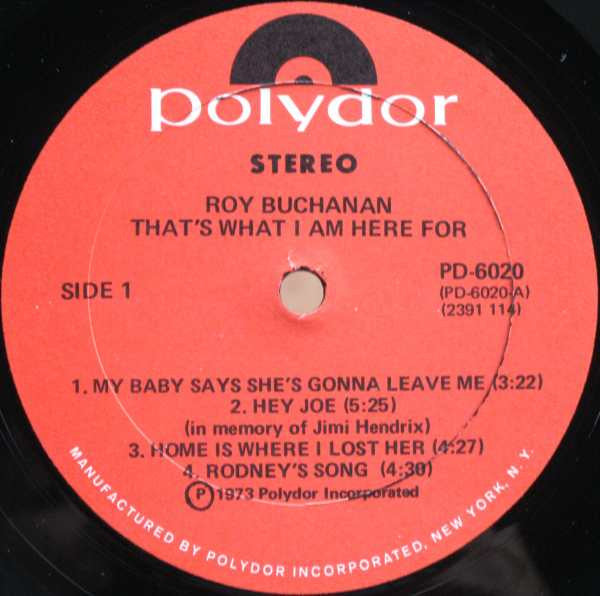 Roy Buchanan : That's What I Am Here For (LP, Album)