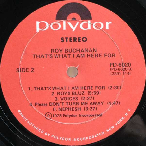Roy Buchanan : That's What I Am Here For (LP, Album)