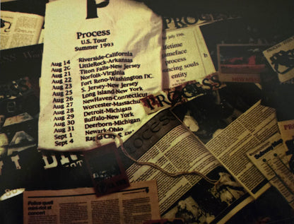 Process (7) : Regeneration (12", Hal)