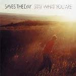 Saves The Day : Stay What You Are (LP, Album, M/Print, RE, Ora)