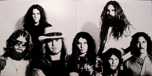 Lynyrd Skynyrd : Street Survivors (LP, Album, Glo)