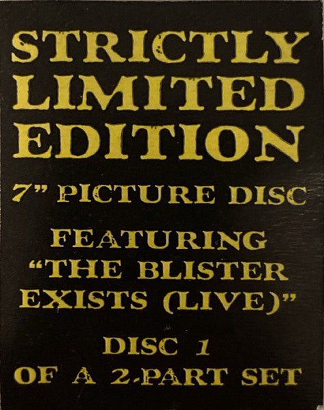 Slipknot : Before I Forget (7", Single, Ltd, Pic, 1/2)