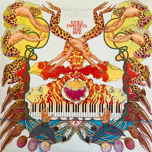 Robert Margouleff And Malcolm Cecil : Tonto's Expanding Head Band (LP, Album, RE, PR-)