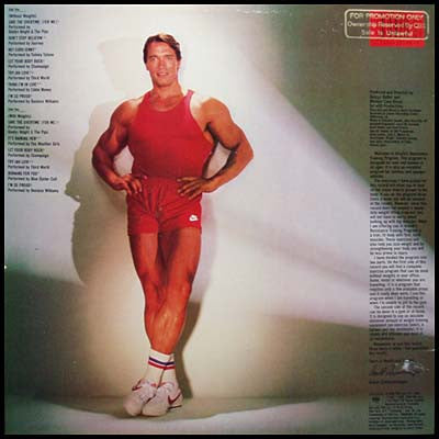 Arnold Schwarzenegger : Arnold Schwarzenegger's Total Body Workout (LP)