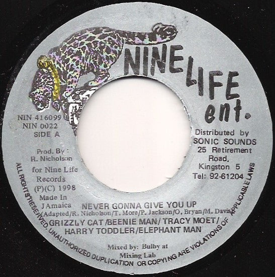 Grizzly Cat Featuring Beenie Man, Tracy Moet, Harry Toddler, Elephant Man : Never Gonna Give You Up (7")