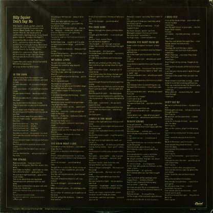 Billy Squier : Don't Say No (LP, Album, Win)