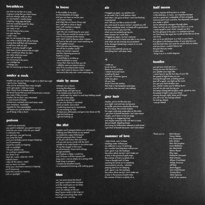 Waxahatchee : Ivy Tripp (LP, Album)