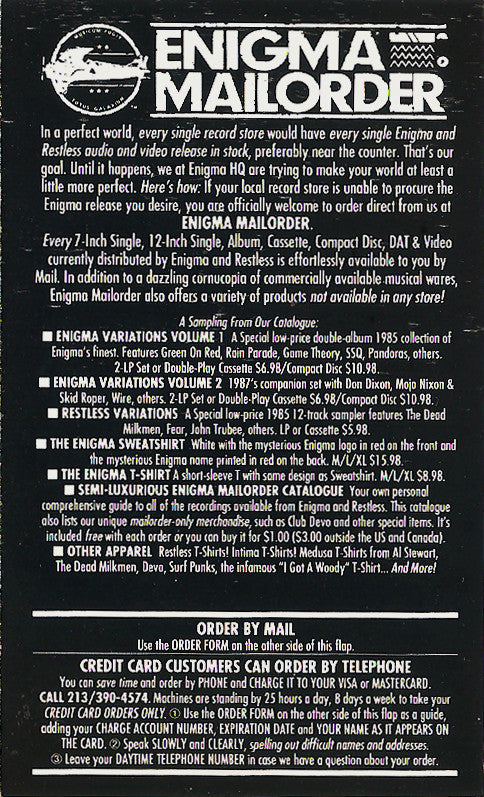 Indestroy : Senseless Theories (Cass, EP)