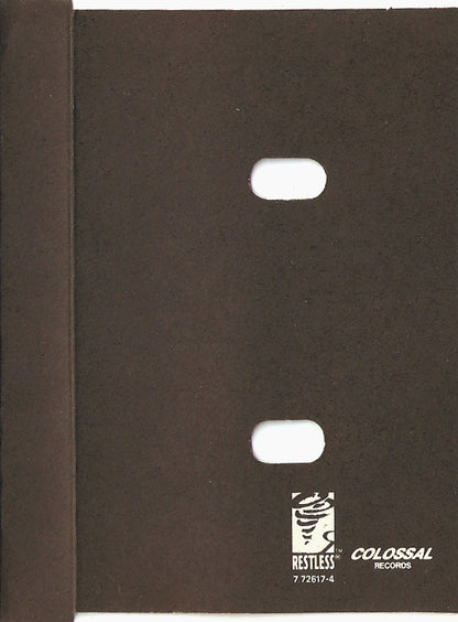 Indestroy : Senseless Theories (Cass, EP)