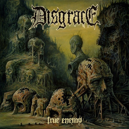 Disgrace (2) : True Enemy (LP, Album, Bla)