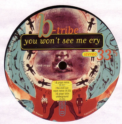 B-Tribe : You Won't See Me Cry (12")