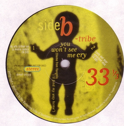 B-Tribe : You Won't See Me Cry (12")