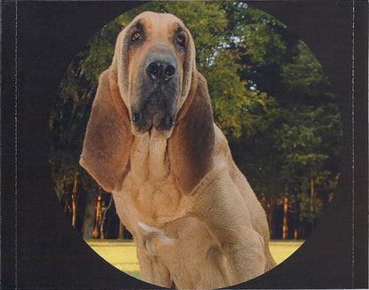 Josh Turner (2) : Haywire (CD, Album)