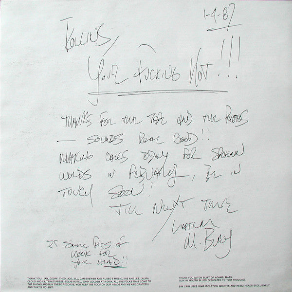 Rollins Band : Life Time (LP, Album)