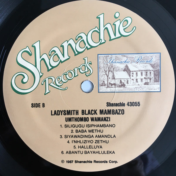 Ladysmith Black Mambazo : Umthombo Wamanzi (LP, Album, RE)