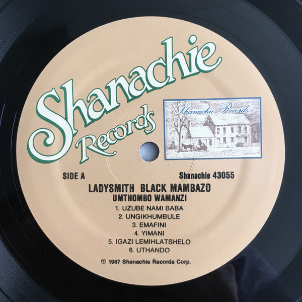 Ladysmith Black Mambazo : Umthombo Wamanzi (LP, Album, RE)