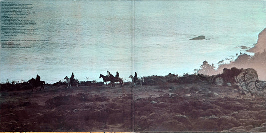 The Doobie Brothers : Stampede (LP, Album, RP, Pit)