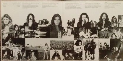 Deep Purple : Come Taste The Band (LP, Album, Ter)