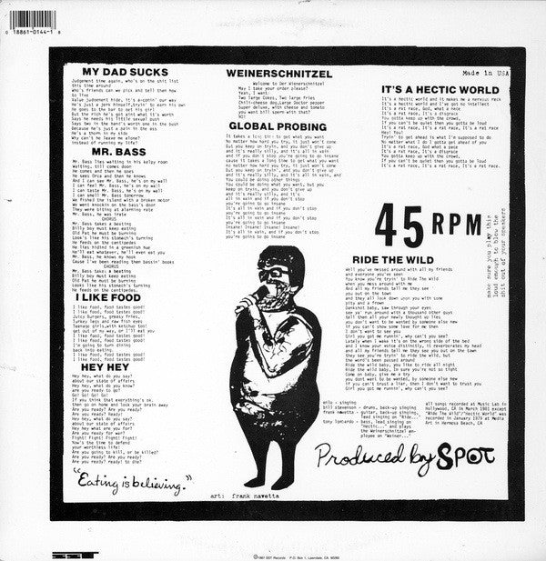 The Descendents* : Bonus Fat (12", Comp, RE, RP)