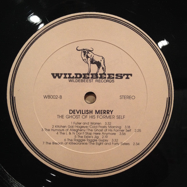 Devilish Merry : The Ghost of His Former Self (LP)