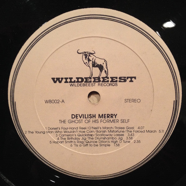 Devilish Merry : The Ghost of His Former Self (LP)
