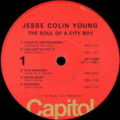 Jesse Colin Young : The Soul Of A City Boy (LP, Album, RE, Win)