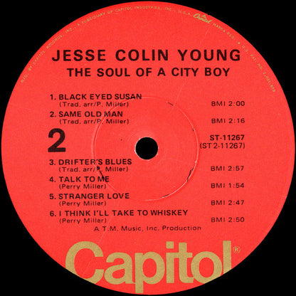Jesse Colin Young : The Soul Of A City Boy (LP, Album, RE, Win)