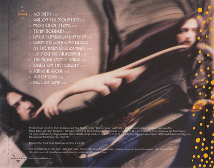 Chris Robinson (2) : This Magnificent Distance (CD, Album, Promo)