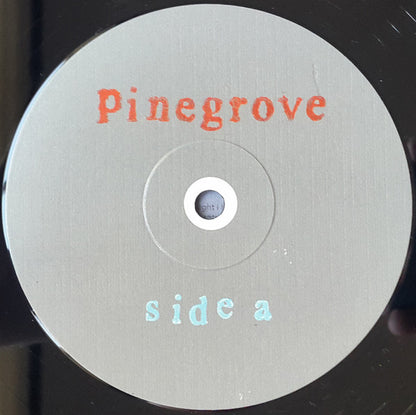 Pinegrove : Cardinal (LP, Album)