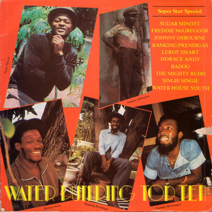 Various : Water Pumping Top Ten (LP, Comp)