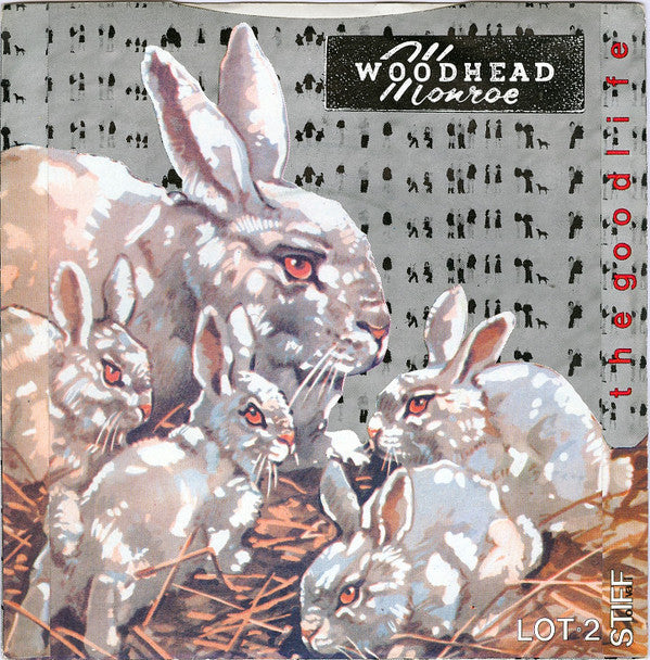 Woodhead Monroe : Identify (7")